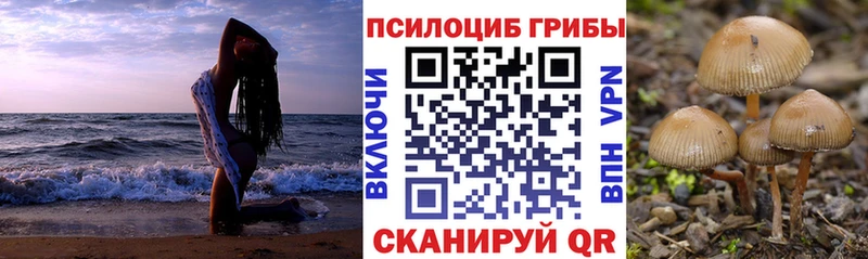 Галлюциногенные грибы ЛСД Владимир